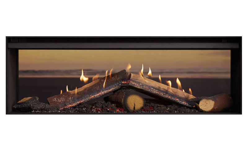 RINNAI LS1000F Double Sided Gas Logfire