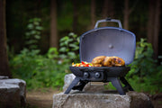 Napoleon TravelQ™ 285 Portable Gas Grill