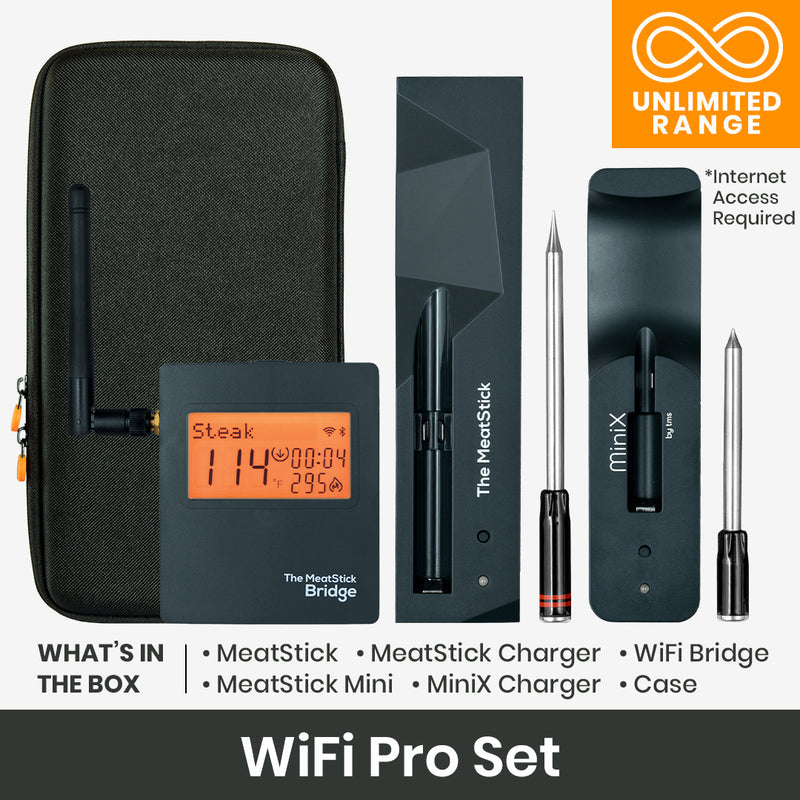 The MeatStick WiFi Set