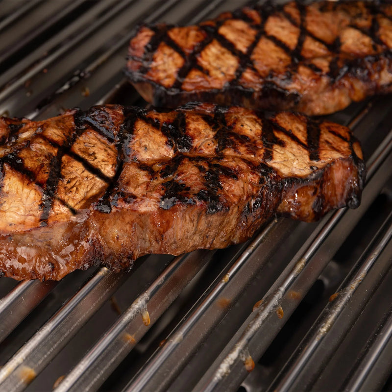 Broil King Regal Q 690 Pro