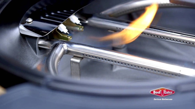 BEEFEATER BUGG EUCALPTUS GREEN