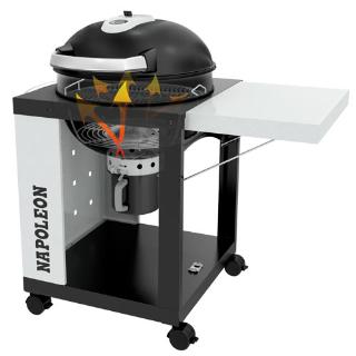 Napoleon Charcoal PRO CART